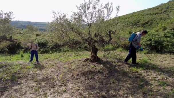 Twee Boeren Spuiten Herbicide Een Veld Met Olijfbomen Bargota Navarra — Stockvideo