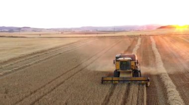 Harvester in harvest time in a wheat field. Navarre, Spain, Europe. Aerial view. 4K.