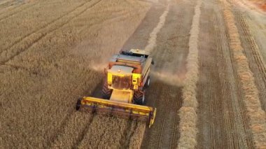 Harvester in harvest time in a wheat field. Navarre, Spain, Europe. Aerial view. 4K.
