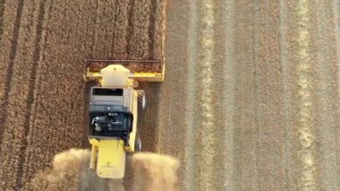 Harvester in harvest time in a wheat field. Navarre, Spain, Europe. Aerial view. 4K.