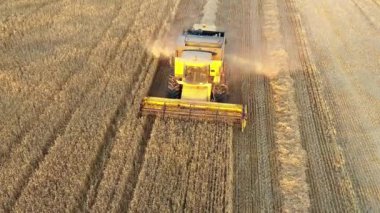 Harvester in harvest time in a wheat field. Navarre, Spain, Europe. Aerial view. 4K.