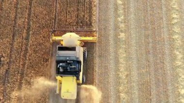 Harvester in harvest time in a wheat field. Navarre, Spain, Europe. Aerial view. 4K.