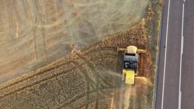 Harvester in harvest time in a wheat field. Navarre, Spain, Europe. Aerial view. 4K.
