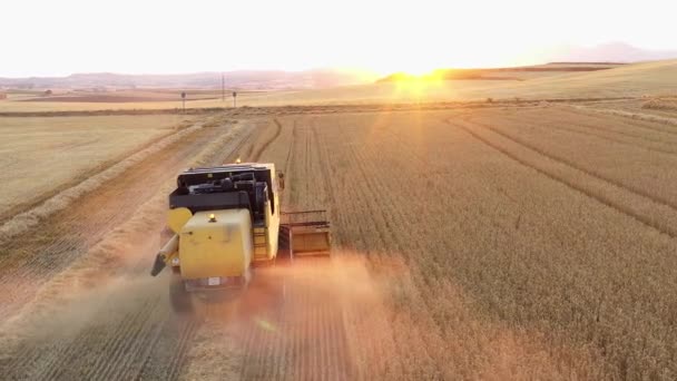Harvester Harvest Time Wheat Field Navarre Spain Europe Aerial View — Vídeo de Stock