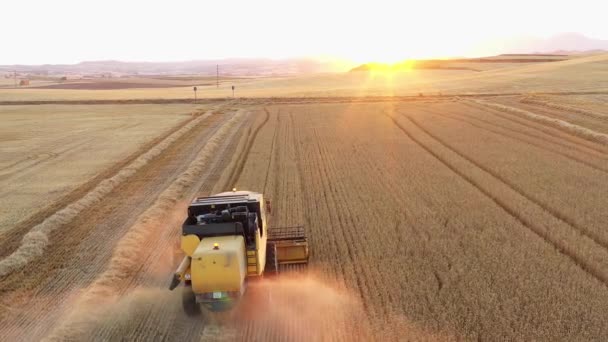 Harvester Harvest Time Wheat Field Navarre Spain Europe Aerial View — Stock Video