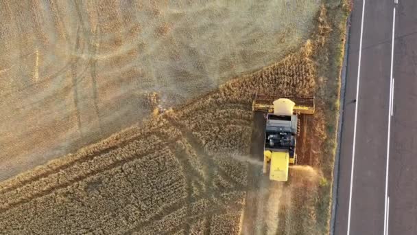 Harvester Harvest Time Wheat Field Navarre Spain Europe Aerial View — Vídeo de Stock