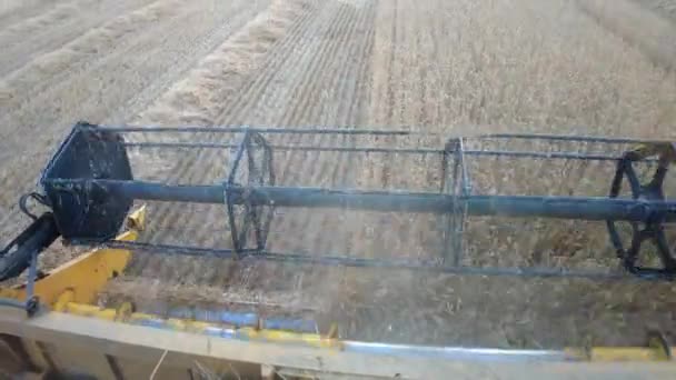Combine Harvester Working Harvest Time Wheat Field View Cab Navarre — Stock video