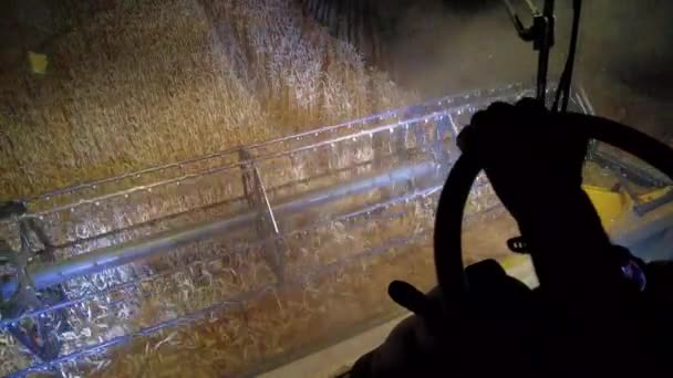 Slow Motion Combine Harvester Working Harvest Time Wheat Field View — Stock video