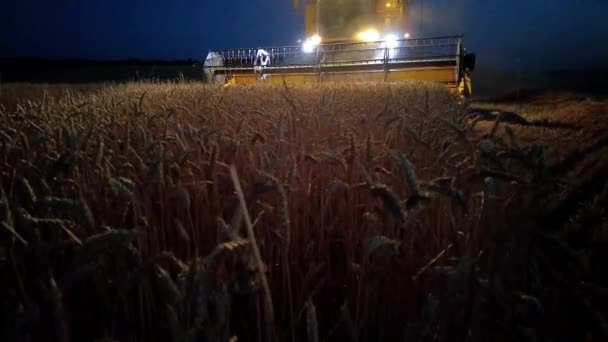 Slow Motion Combine Harvester Working Harvest Time Wheat Field Navarre — Vídeo de Stock