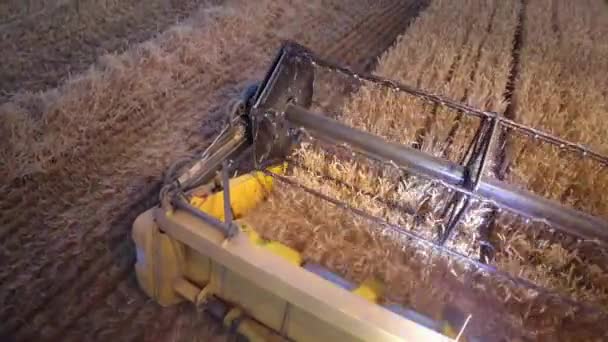 Slow Motion Combine Harvester Working Harvest Time Wheat Field View — Stock video