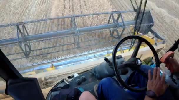 Man Working Combine Harvester Wheat Field View Cab Navarre Spain — Vídeo de Stock
