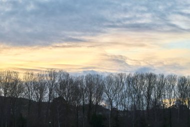 silhouettes of tree branches and clouds at sunset. Colindres harbor, Cantabria, Spain, Europe