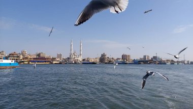 Kahire İskenderiye 'deki ünlü arkeolojik sitelerin güzel ve çeşitli resimleri, Luxor Siwa Marsa Matrouh Port, Mısır' ın