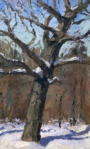 Vinter Målning Bladen Rasat Stora Träd Stå Nakna Stammarna Täckta — Stockfoto