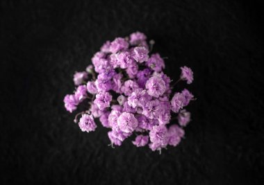 Siyah arka planda narin bir çiçek. Siyah arkaplanda.