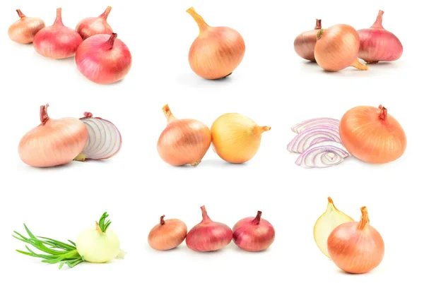 Set of Onion isolated on a white background cutout — Stock Photo, Image