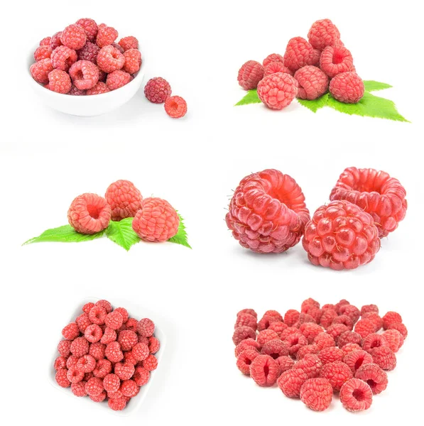 Set of raspberries on a background — Stock Photo, Image