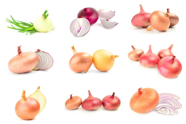 Collage frischer Zwiebelzwiebeln isoliert auf weißem Hintergrund — Stockfoto