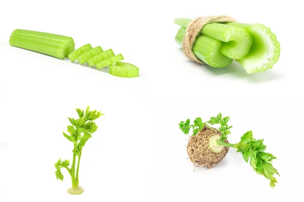 Collage of celeriac isolated on white — Stock Photo, Image