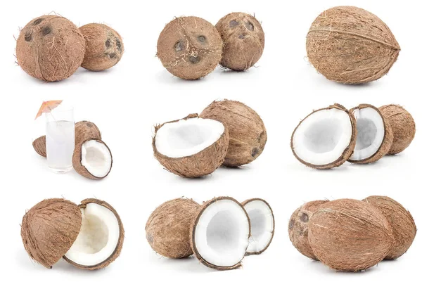 Conjunto de primer plano de coco en blanco — Foto de Stock