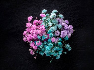 Siyah arka planda narin bir çiçek. Dekoratif çiçekler.