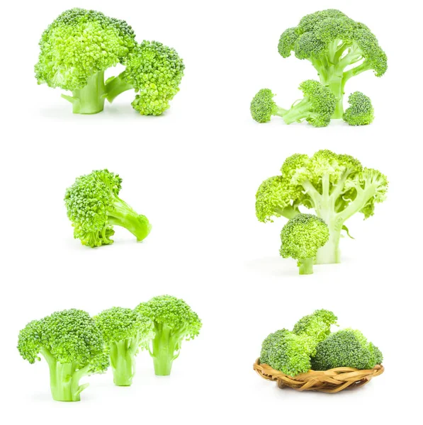 Friss nyers brokkoli csoport fehér alapon — Stock Fotó