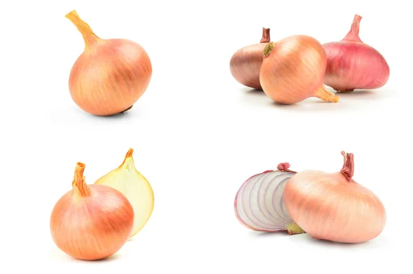 Collage of Fresh onion bulbs isolated on a white background cutout — Stock Photo, Image