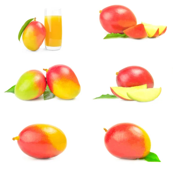 Groep van rode mango over een witte achtergrond — Stockfoto
