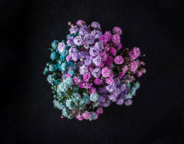 Siyah arka planda güzel bir çiçek. Yakın çekim..