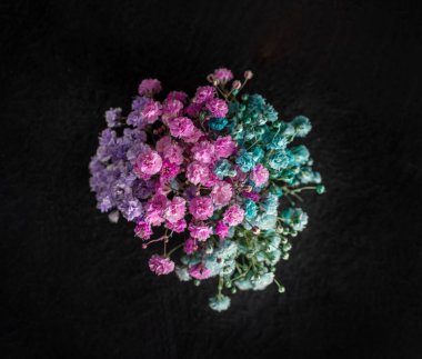 Siyah arka planda narin bir çiçek. Yakın çekim..