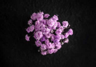 Siyah arka planda çiçeğin stüdyo çekimi. Seçici odak.