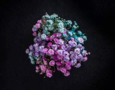 Siyah arka planda bir çiçeğin üst görüntüsü. - Yakın çekim. Doğa.