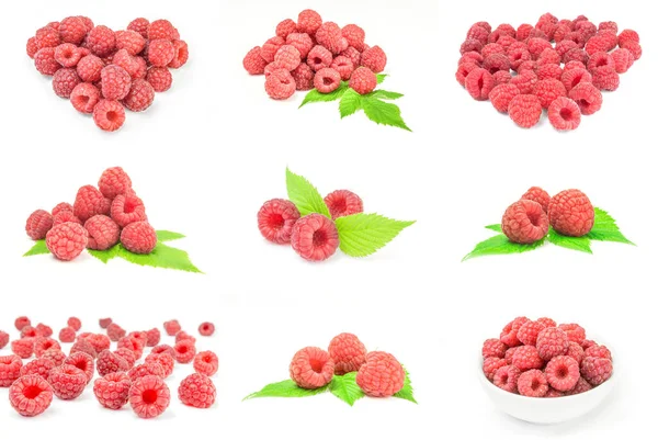 Coleção de fruto de framboesa close-up em branco — Fotografia de Stock