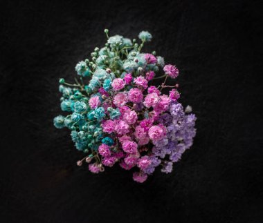 Siyah arka planda güzel bir çiçek. Yukarıya bak.