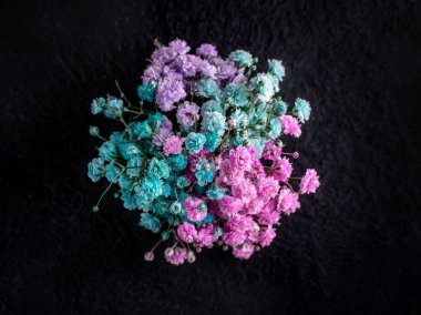 Siyah arka planda bir çiçeğin üst görüntüsü. Stüdyo çekimi.