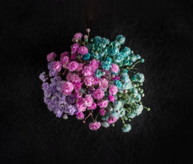 Siyah arka planda narin bir çiçek. Stüdyo çekimi.