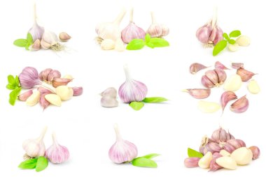 koleksiyon üzerinde beyaz izole sarımsak