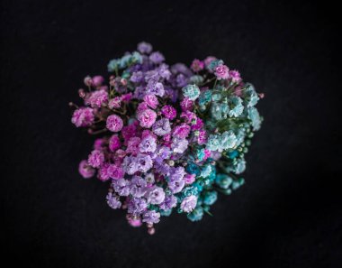 Siyah arka planda bir çiçeğin üst görüntüsü. - Yakın çekim. Doğa.