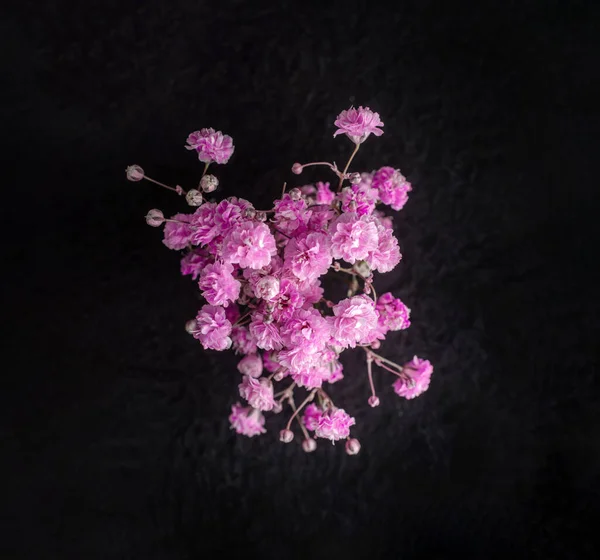 Siyah arka planda bir çiçeğin üst görüntüsü. Seçici odak.