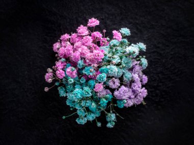 Siyah arka planda narin bir çiçek. Kapat..