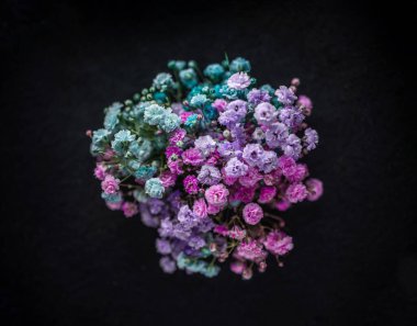 Siyah arka planda narin bir çiçek. Karanlık bir arka planda.