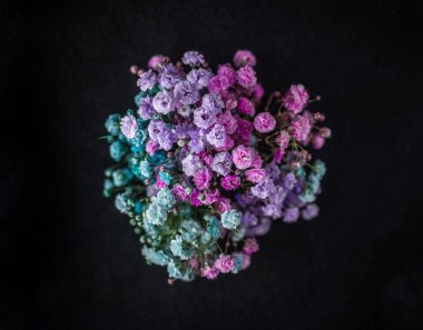 Siyah arka planda çiçeğin stüdyo çekimi. Yukarıdan görüntüle.