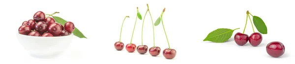 Koleksi Cherry diisolasi pada latar belakang putih — Stok Foto