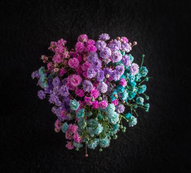 Siyah arka planda bir çiçek. Parlak ve güzel bir çiçek.