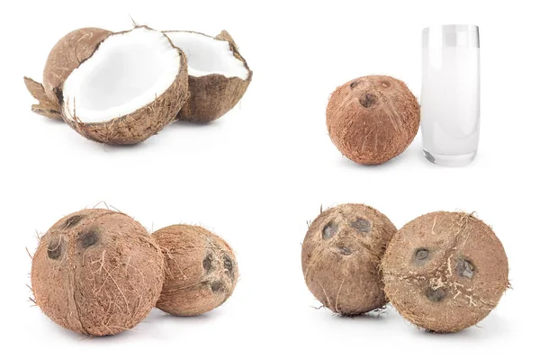 Set of coconut over a white background — Foto Stock