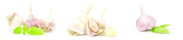 Set of Garlic isolated on a white background — Stock Photo, Image