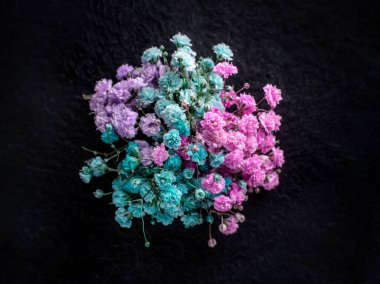 Siyah arka planda narin bir çiçek. Yakın çekim..