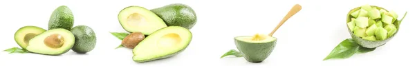 Collage van groene avocado 's geïsoleerd op een witte achtergrond cutout — Stockfoto