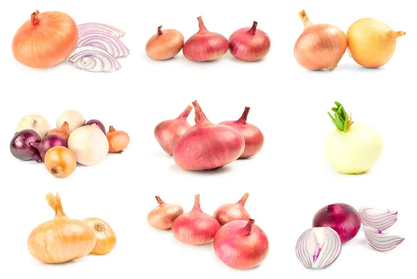 Set of Bulb of onion — Foto Stock