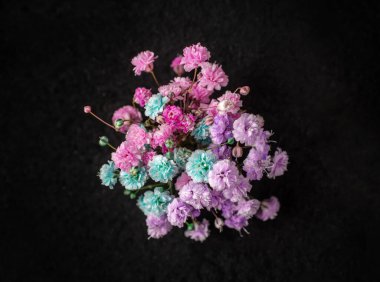 Siyah arka planda bir çiçek. Parlak ve güzel bir çiçek.